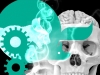 Evil Genius Guide edited by Darren Pulsford (not yet released)