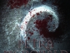 Petra MacDonald & The Queen of the Fae by Shona Kinsella